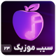 قالب سیب موزیک | قالب موزیک Sib Music